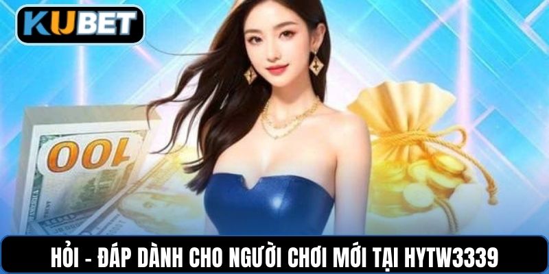 Hỏi – đáp dành cho người chơi mới tại HYTW3339