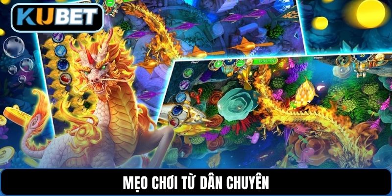 Mẹo chơi từ dân chuyên